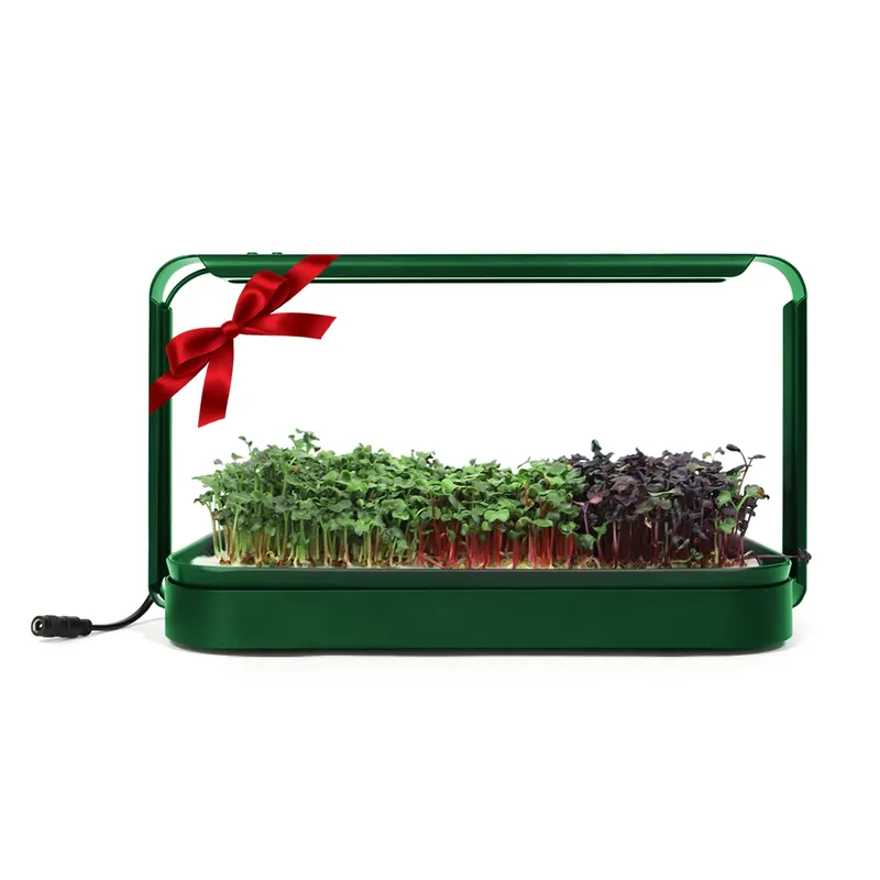 Smart Garden Ideas - Idee Regalo di Natale: Kit Starter