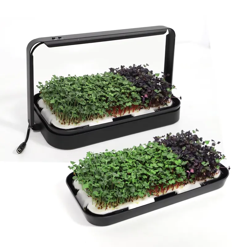 Idee Regalo di Natale: Kit Sta - Smart Garden Ideas recensione e prezzo