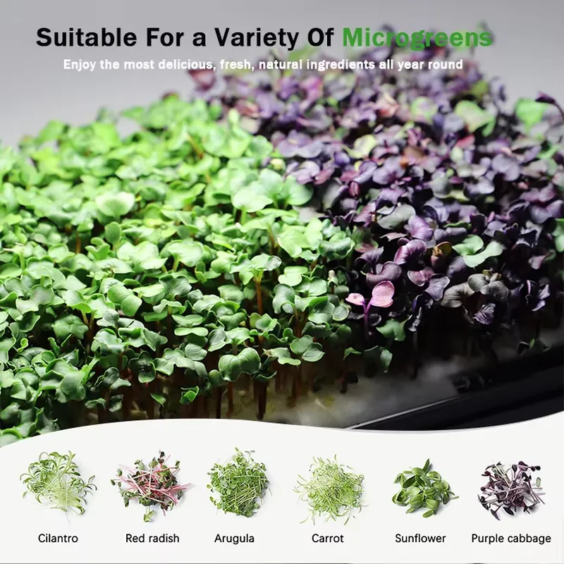 Idee Regalo di Natale: Kit Sta - Smart Garden Ideas recensione e prezzo