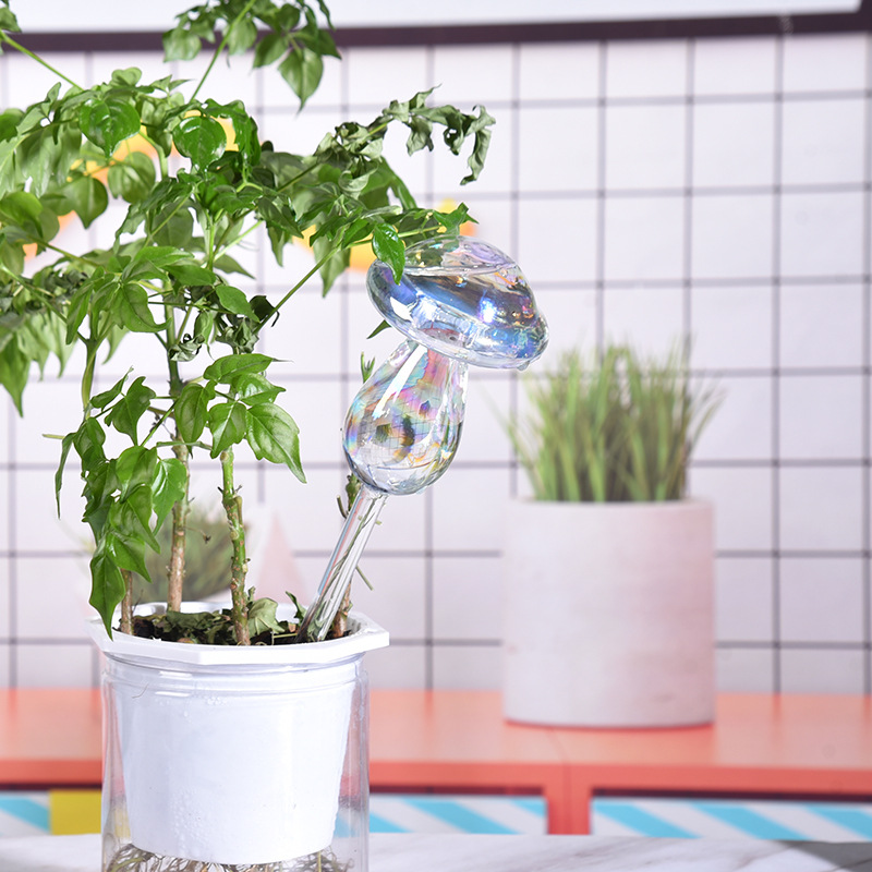 1/2PCS Paglia di vetro Automat - Smart Garden Project recensione e prezzo