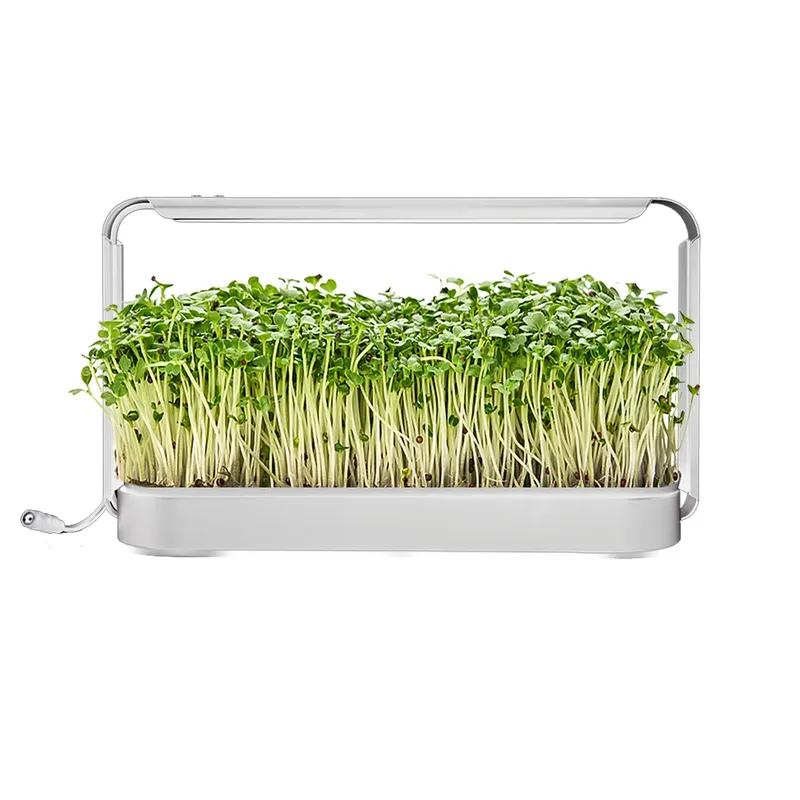 Kit per Giardino di Erbe da In - Smart Garden Ideas recensione e prezzo