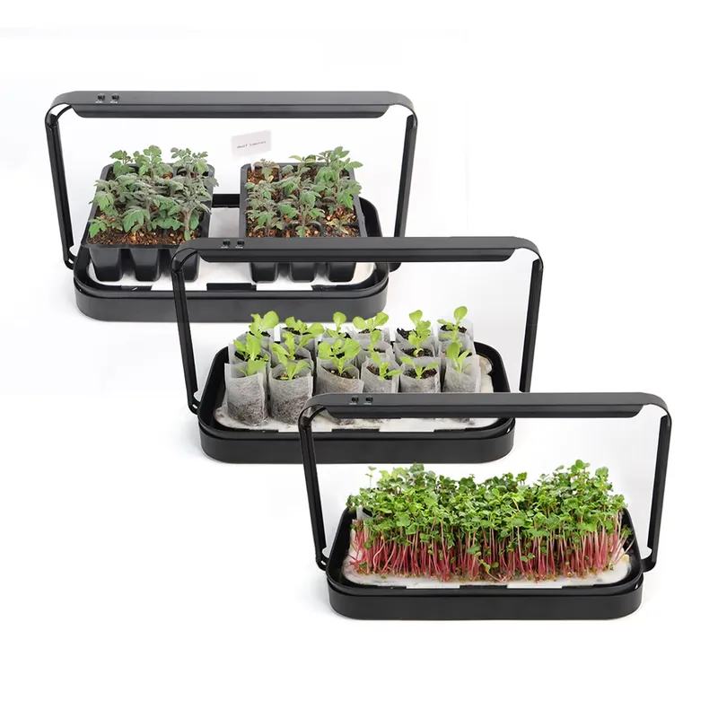 Kit per Giardino di Erbe da In - Smart Garden Ideas recensione e prezzo