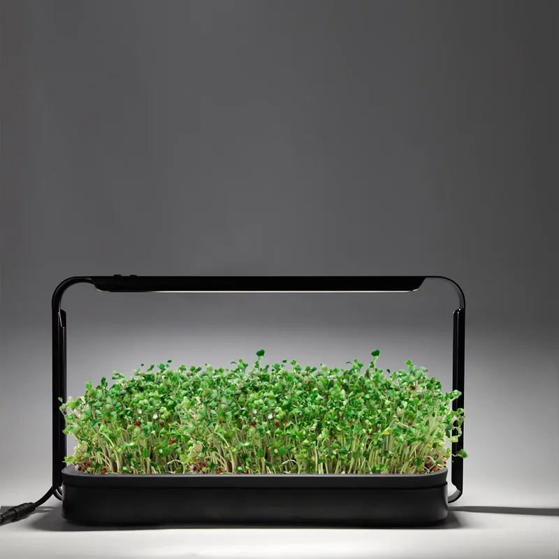Kit per Giardino di Erbe da In - Smart Garden Ideas recensione e prezzo